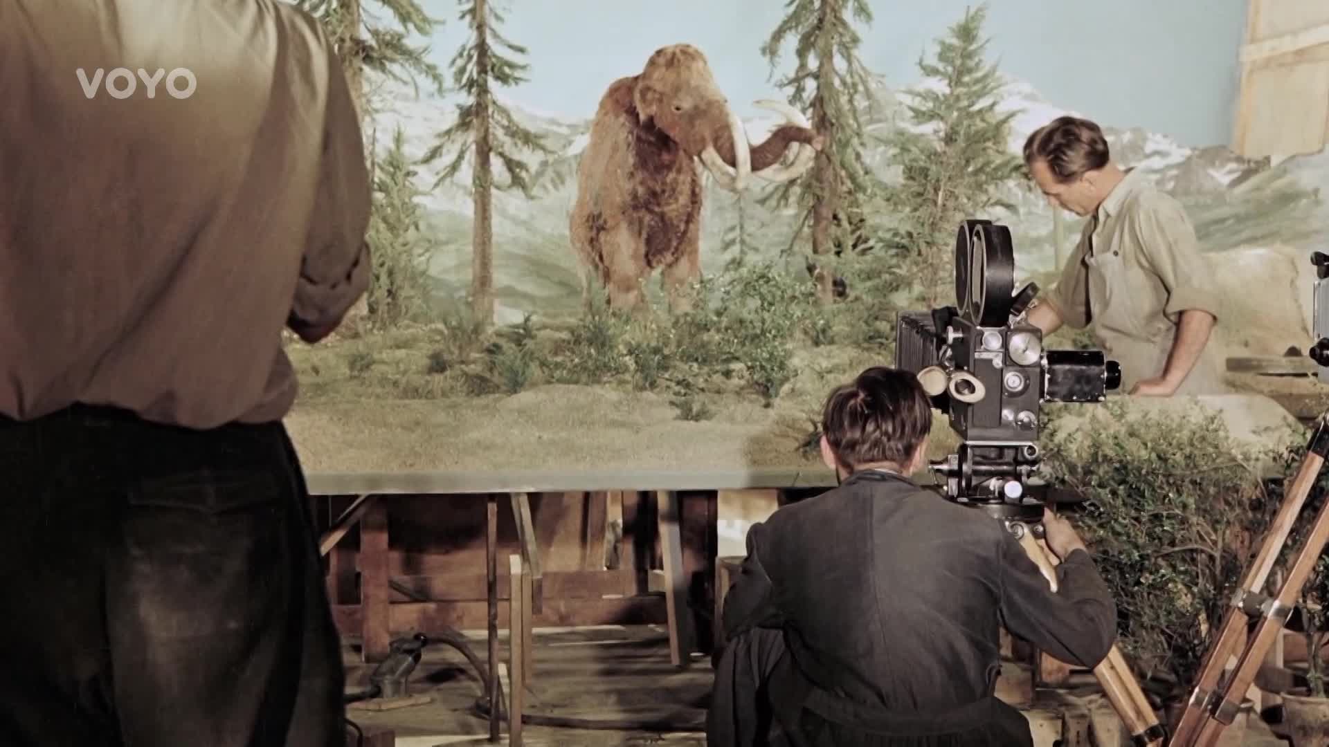 Superlov, Karel Zeman i nové díly Odznaku Vysočina: Voyo čeká týden plný novinek!