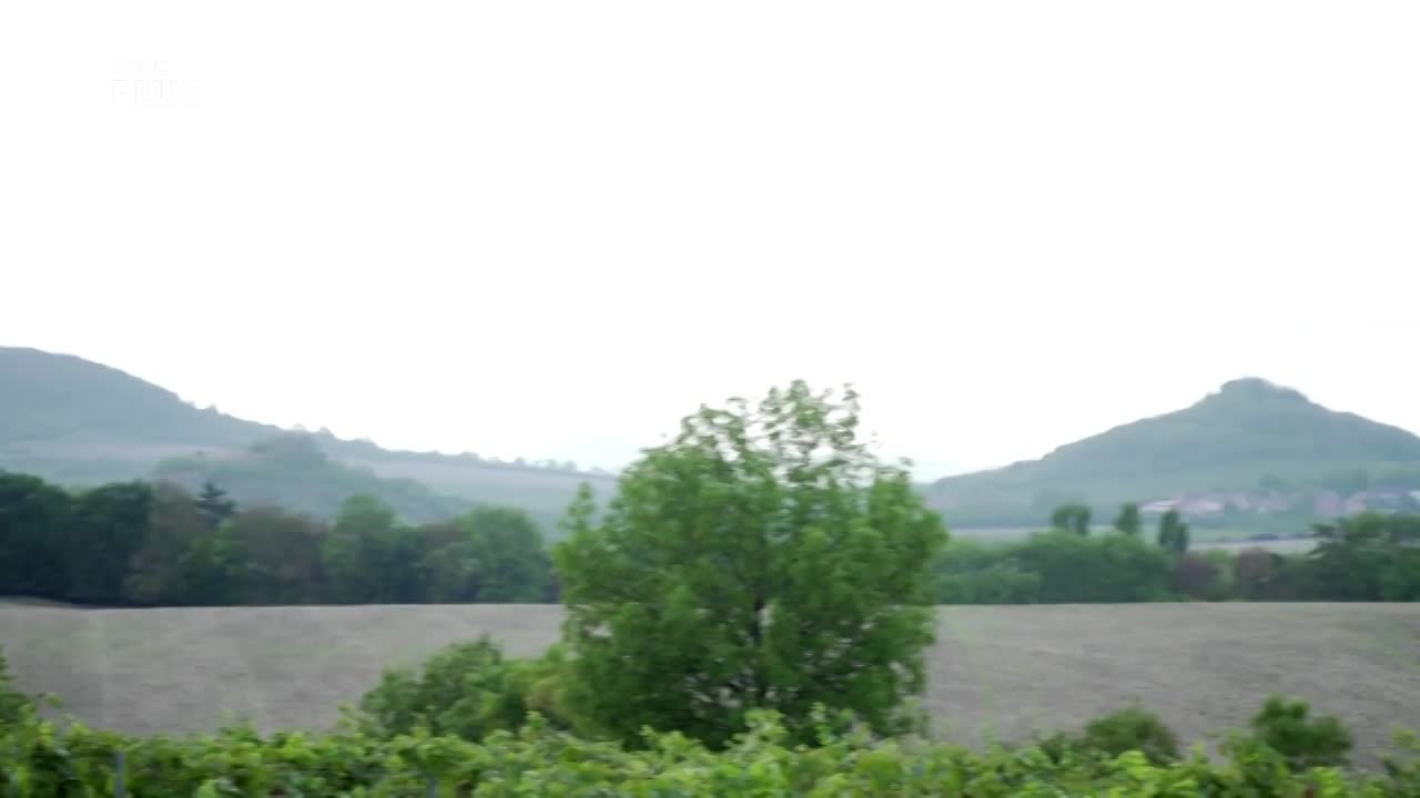 2018-25-10_ctd_vino_7