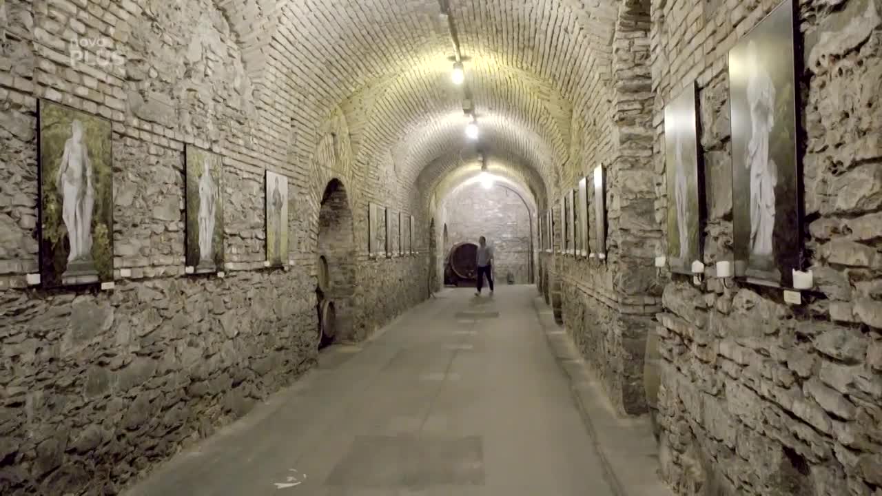 CTDS_VINO_ep01_FINAL