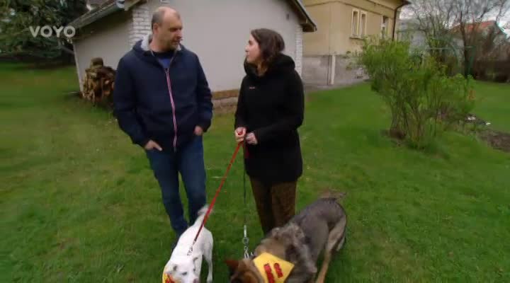 Loskuták - PSÍ SERIÁL: Začátek výcviku