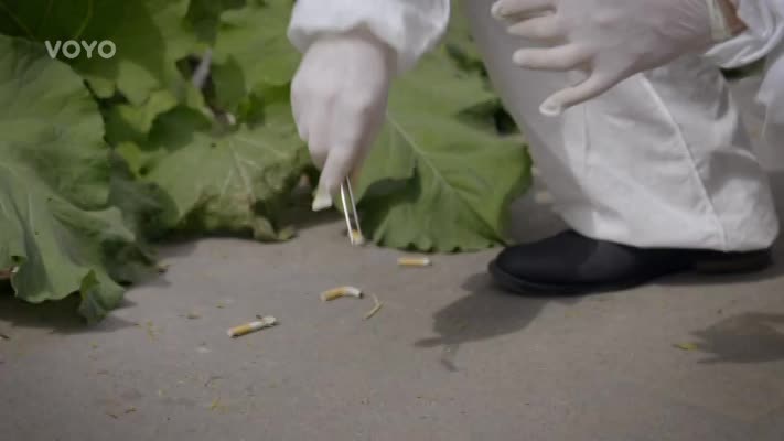 Specialisté a Dáma a Král zpět na obrazovkách: Na co se v nových dílech můžete těšit? VIDEO
