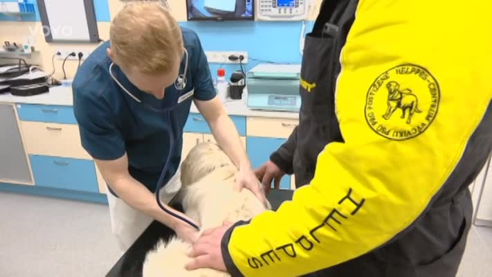VIDEO: Sunny musel podstoupit důležité vyšetření. Čekala ho i operace
