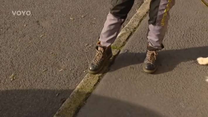Jakou novinku se snídaňové štěně Sunny naučilo? Může to zachránit život!