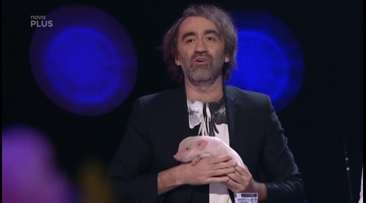 HLÁŠKY POROTY: Hodnotící prase, spoustu míčů i chrup z řad primátů! Tyhle fórky vás pobaví