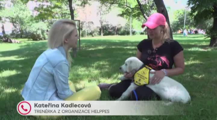 VIDEO: Jezdící schody, jídlo na ulici a hlasitá hudba? Pro snídaňové štěně žádný problém!