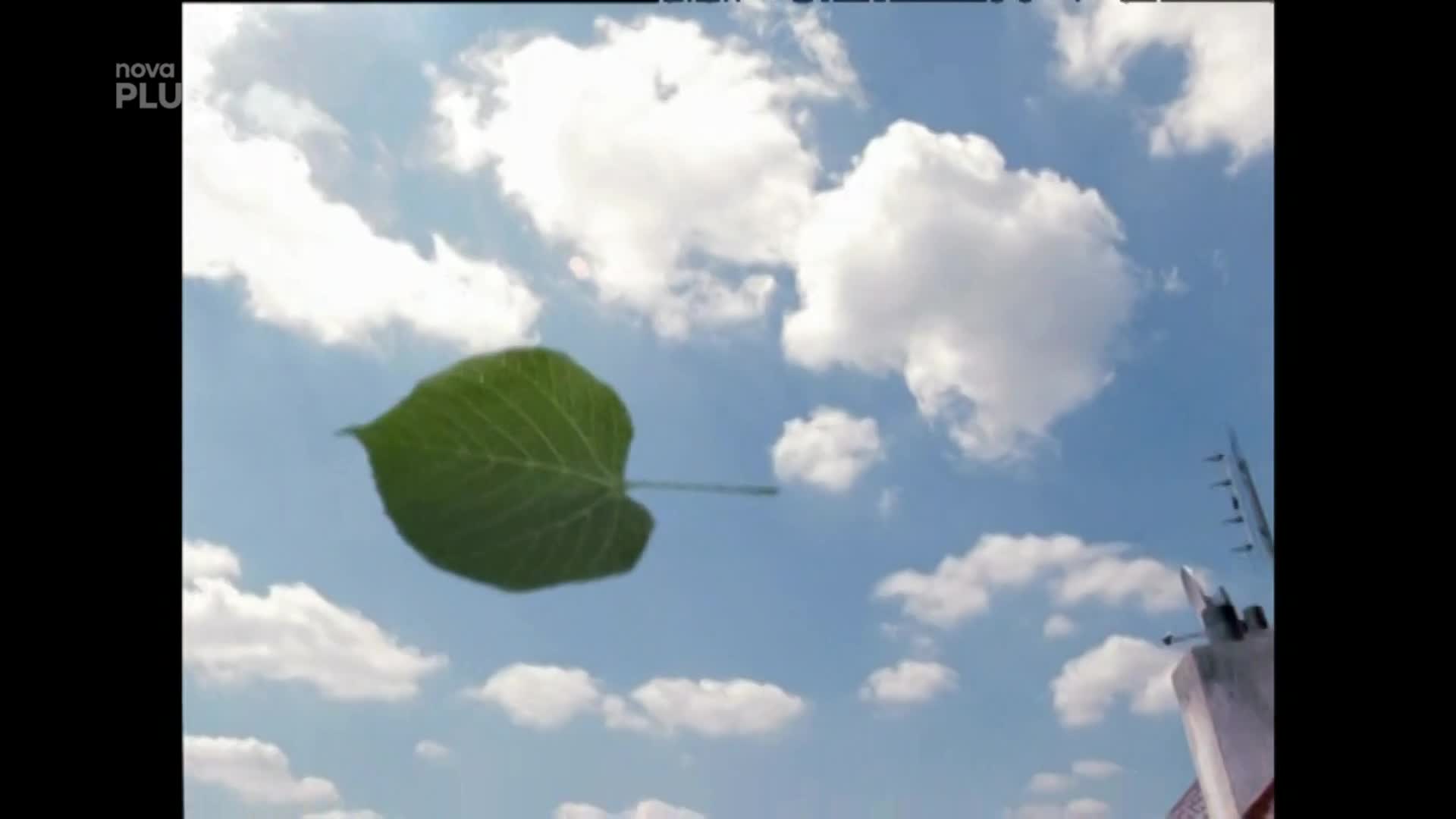 Všechny znělky Ulice: Která z nich se vám líbí nejvíc?