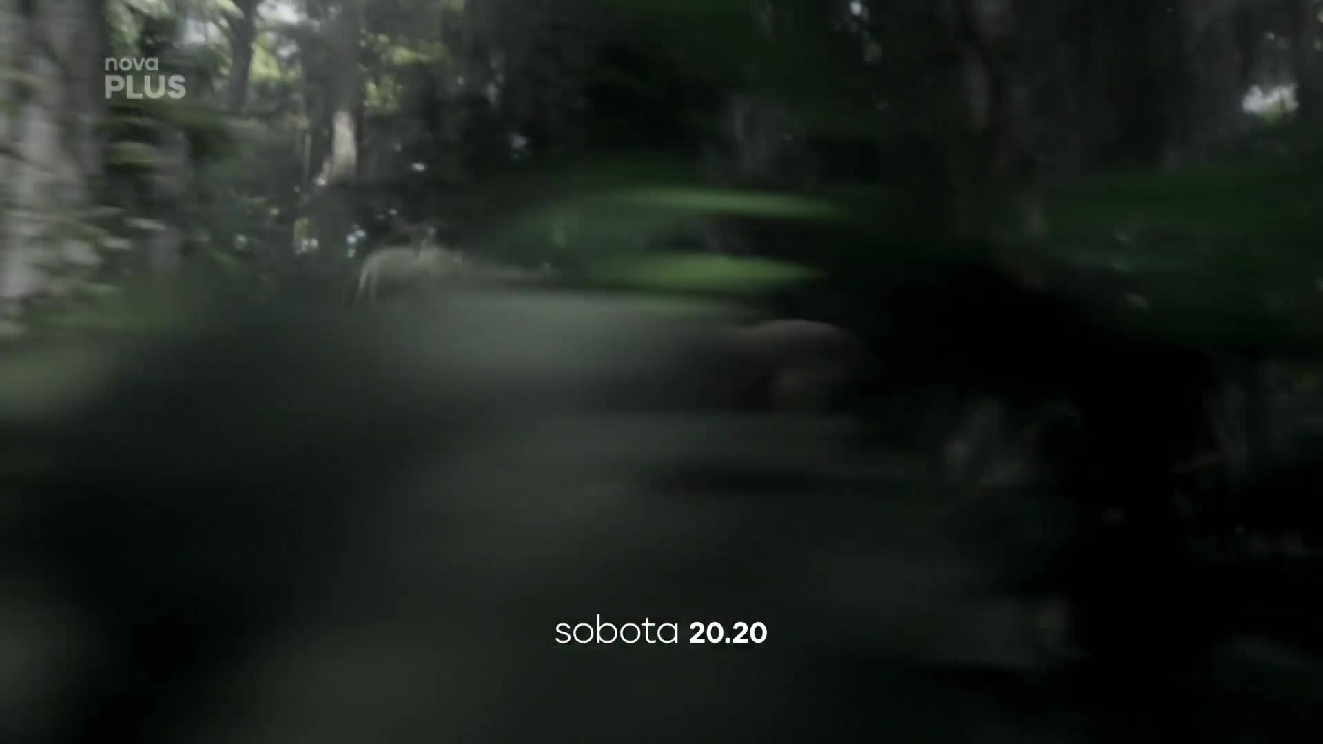 Čeho si ani režisér nevšiml: Film Legenda o Tarzanovi skrývá jednu velmi vtipnou chybu