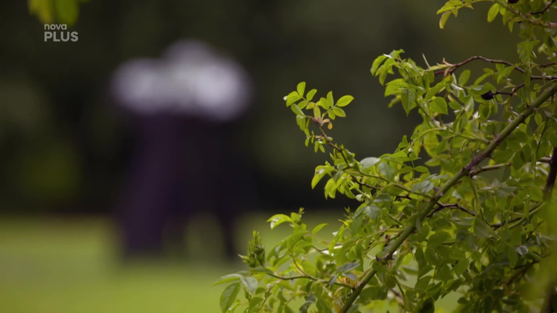 Jak se vyrábí skleněné předměty? V této sklárně si to můžete sami vyzkoušet!