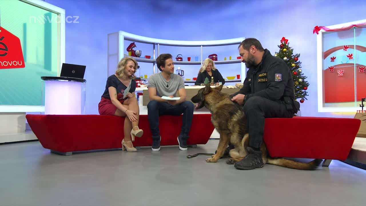 Snídaňové štěně Woody trápily zdravotní problémy: Jak se mu daří dnes?
