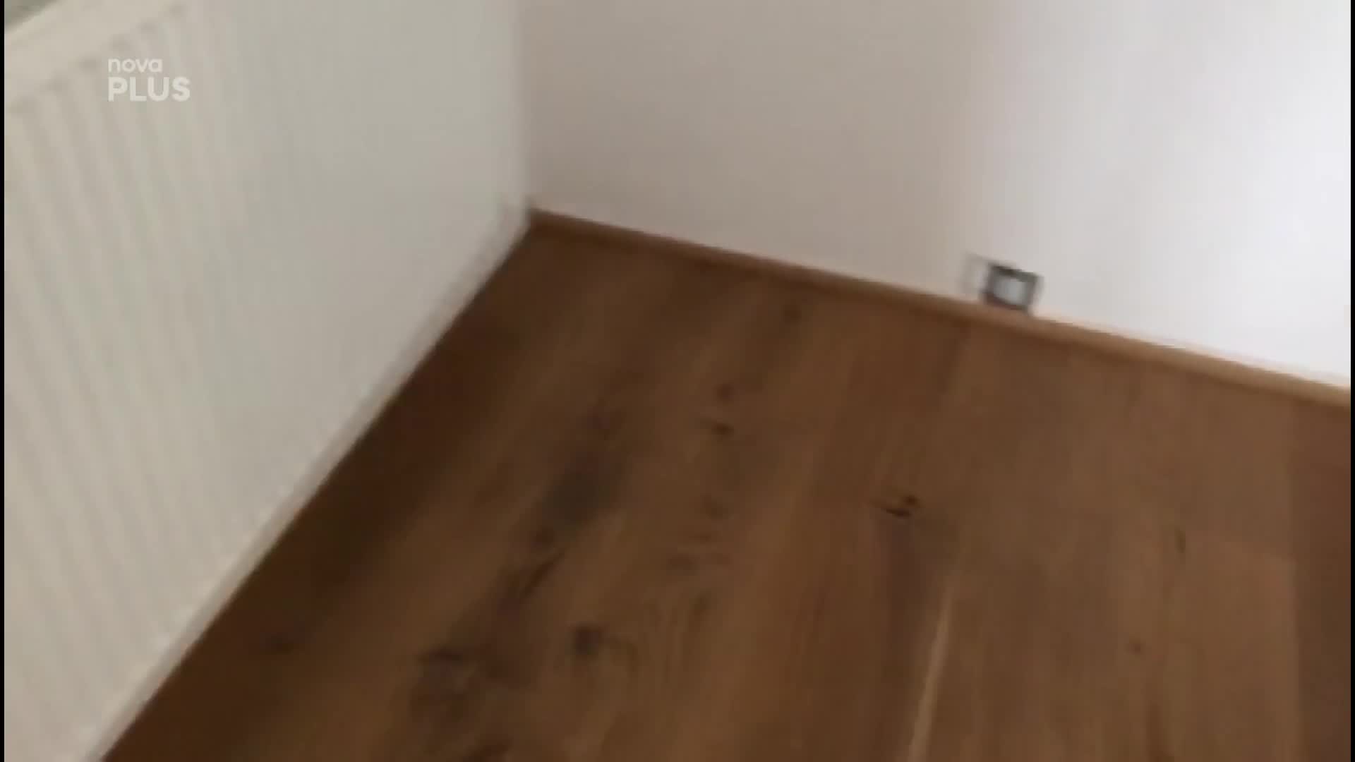 Dana Morávková rozhodně nezahálí: Takhle uklízí a učí se anglicky!