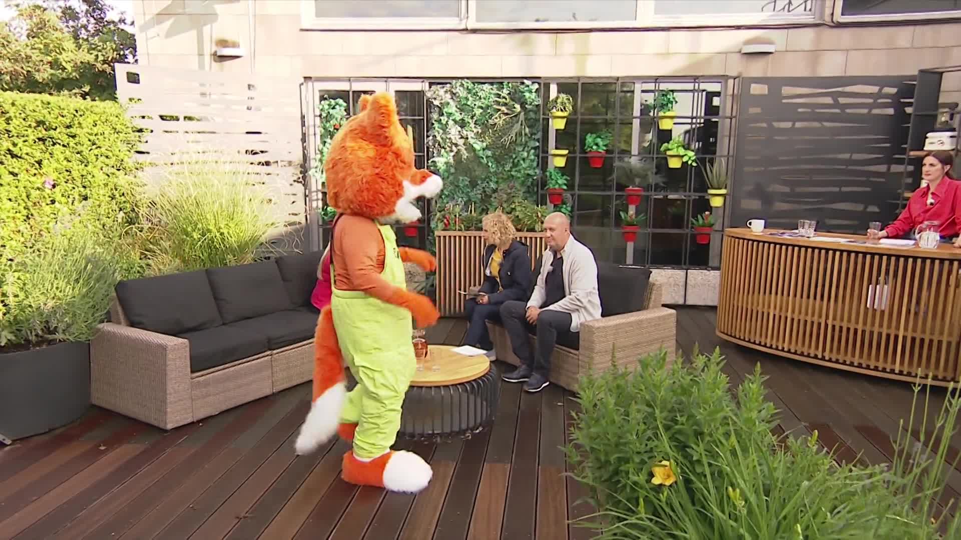 Proč se v létě vydat zrovna na Lipno? Odpověď vás překvapí!