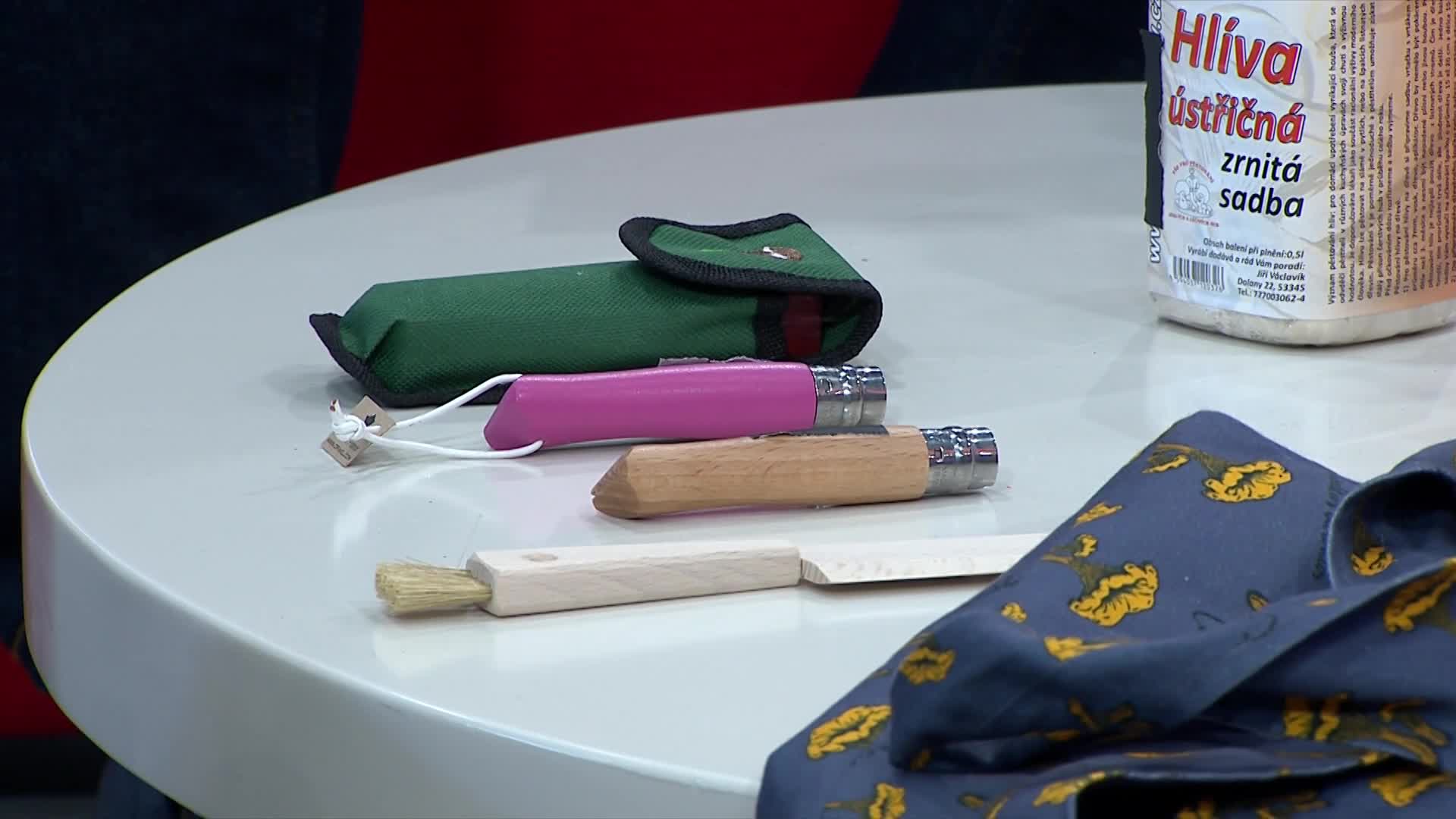 Tuto chybu možná děláte i vy! Do čeho nedávat houby?