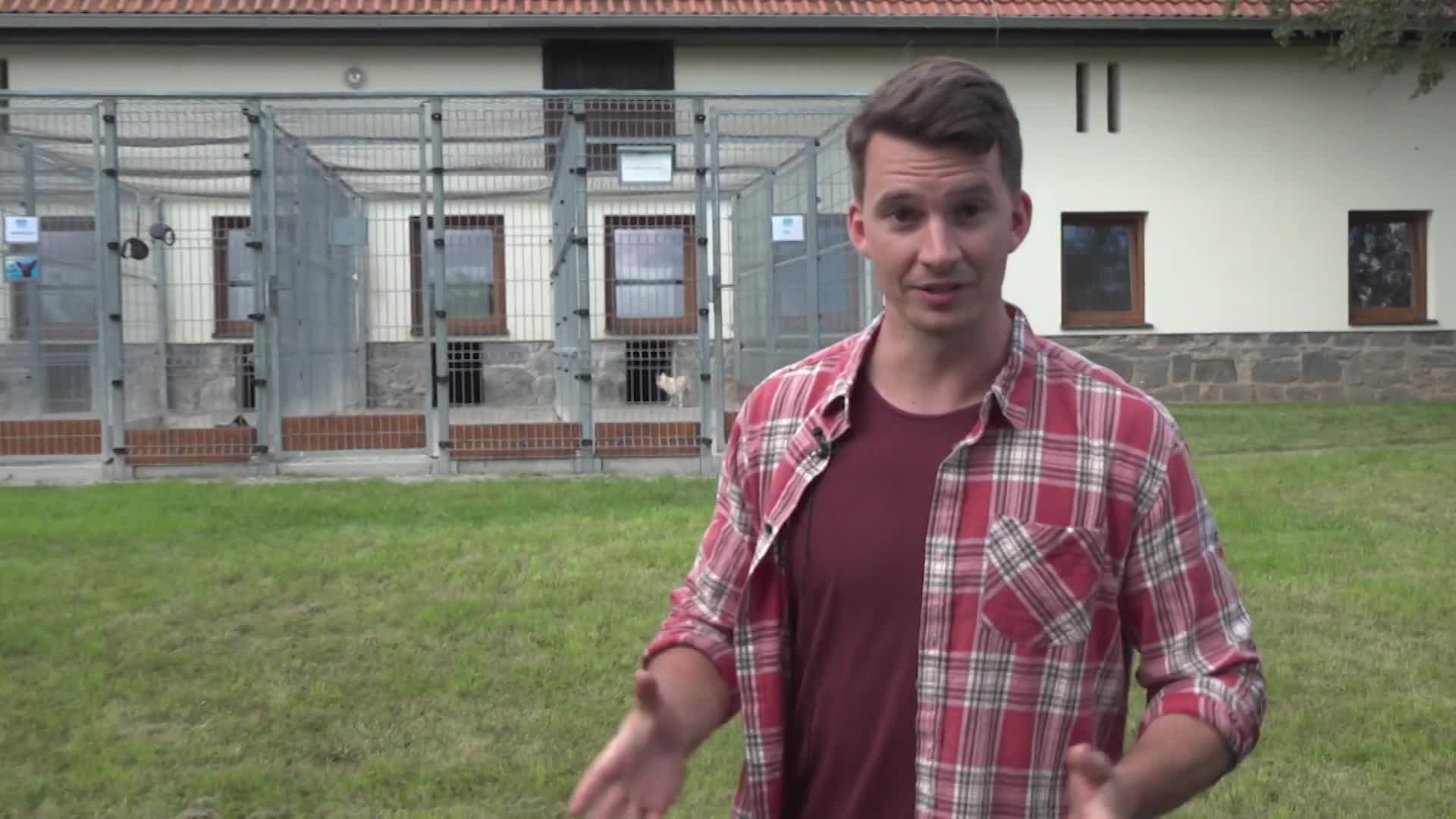 Ben přišel o páníčka, rodina na něho neměla čas! Nechala ho uvázaného u domu