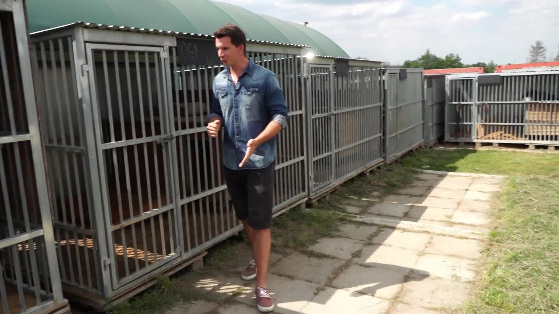 Meddy prožíval peklo, musel žít ve výkalech! Jídlo získával hrůzným způsobem