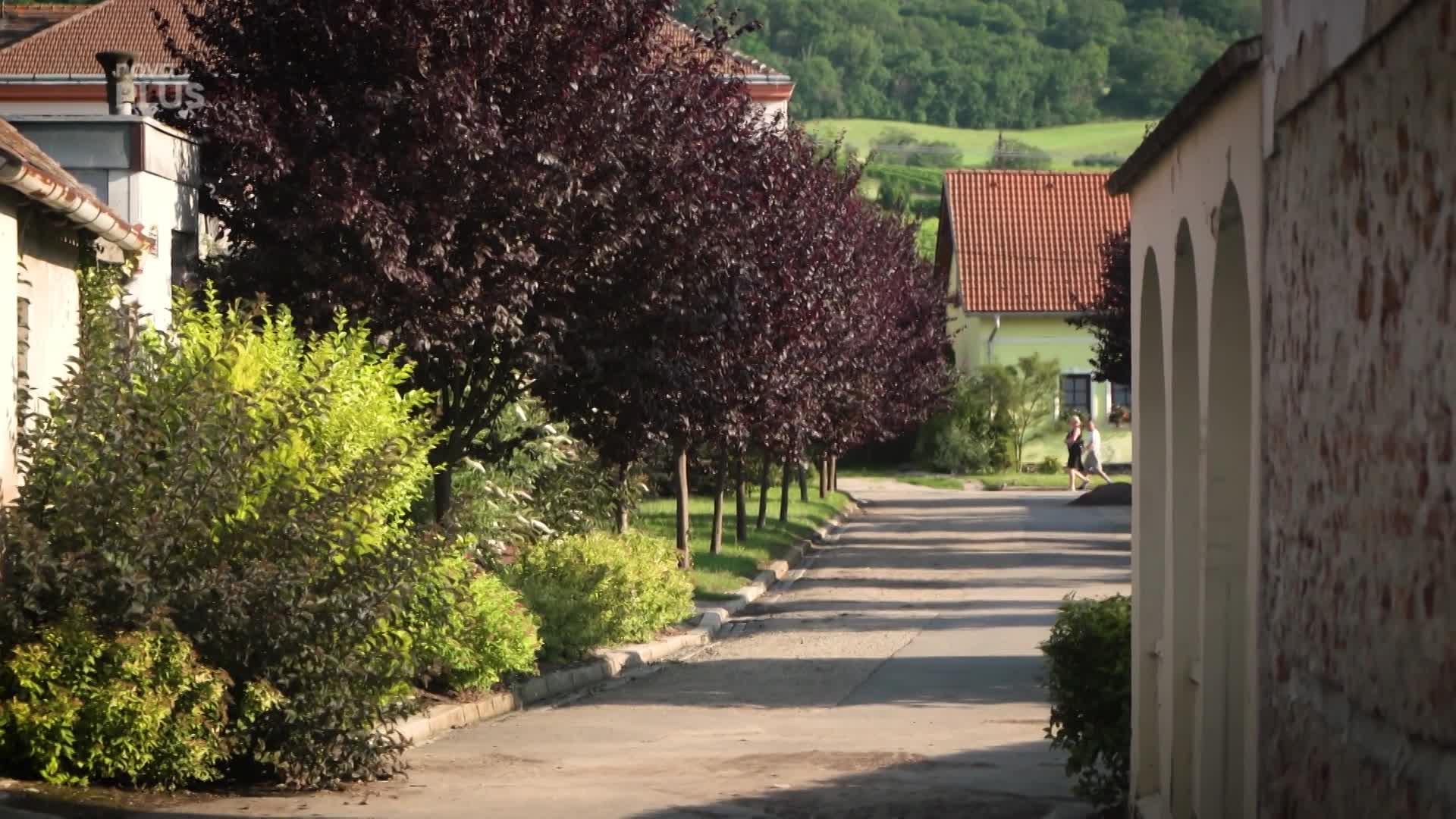 Jak vypadá architektonický skvost pod Pálavou? A co se v něm skrývá?