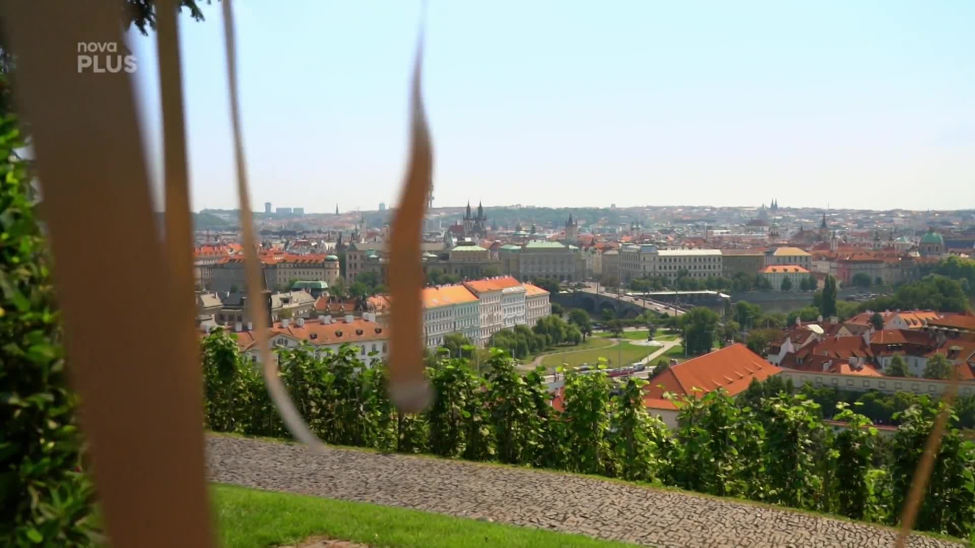 Co předpovídají blízcí novomanželům? Na několika věcech se shodnou!