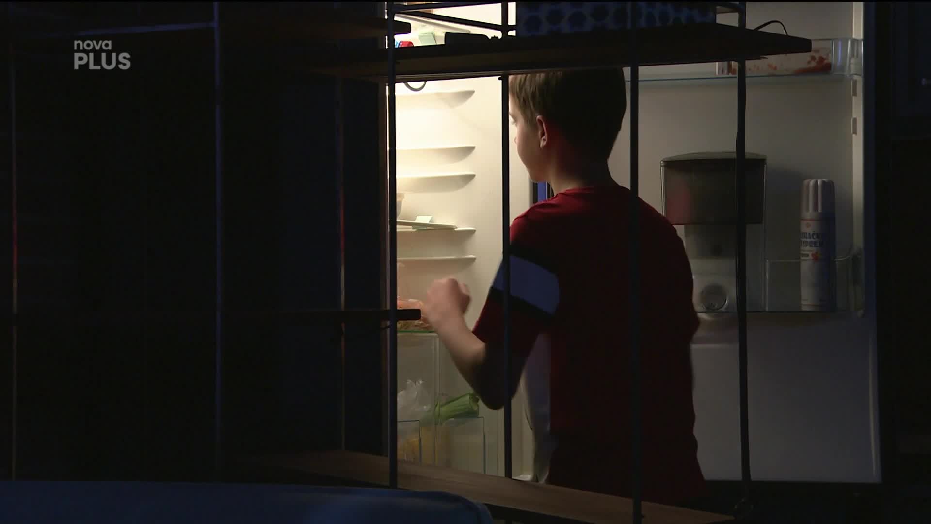 Noční plenění: Kdo je nejvíce ohroženým druhem?