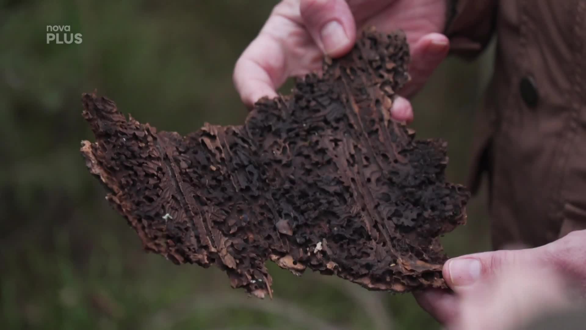 Oblíbená seriálová dvojka vyrazila do Českého Švýcarska! Poradí vám, jak můžete pomoci přírodě i vy