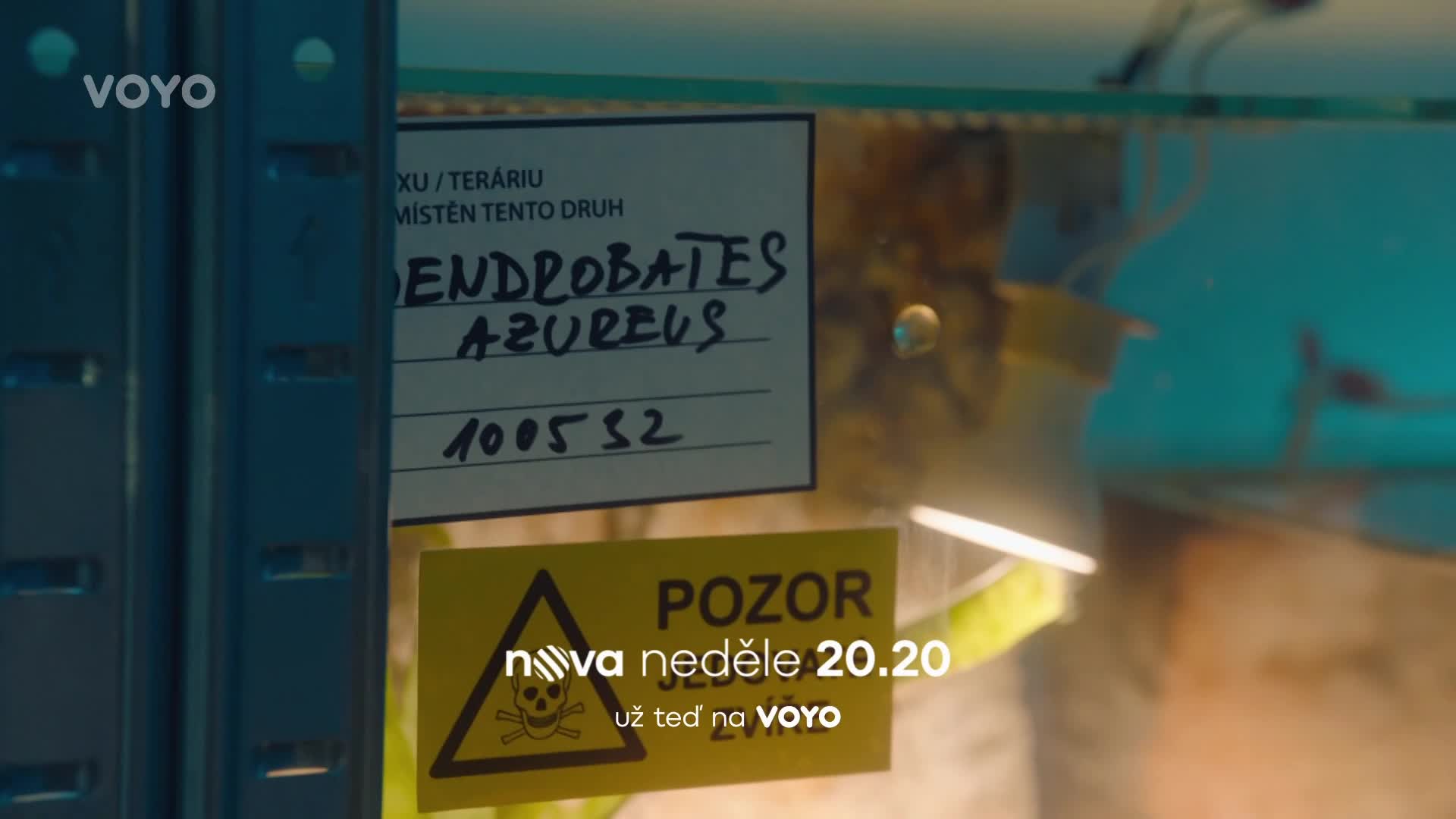 Kreinerovi půjde o život! Co mu udělá Marta?