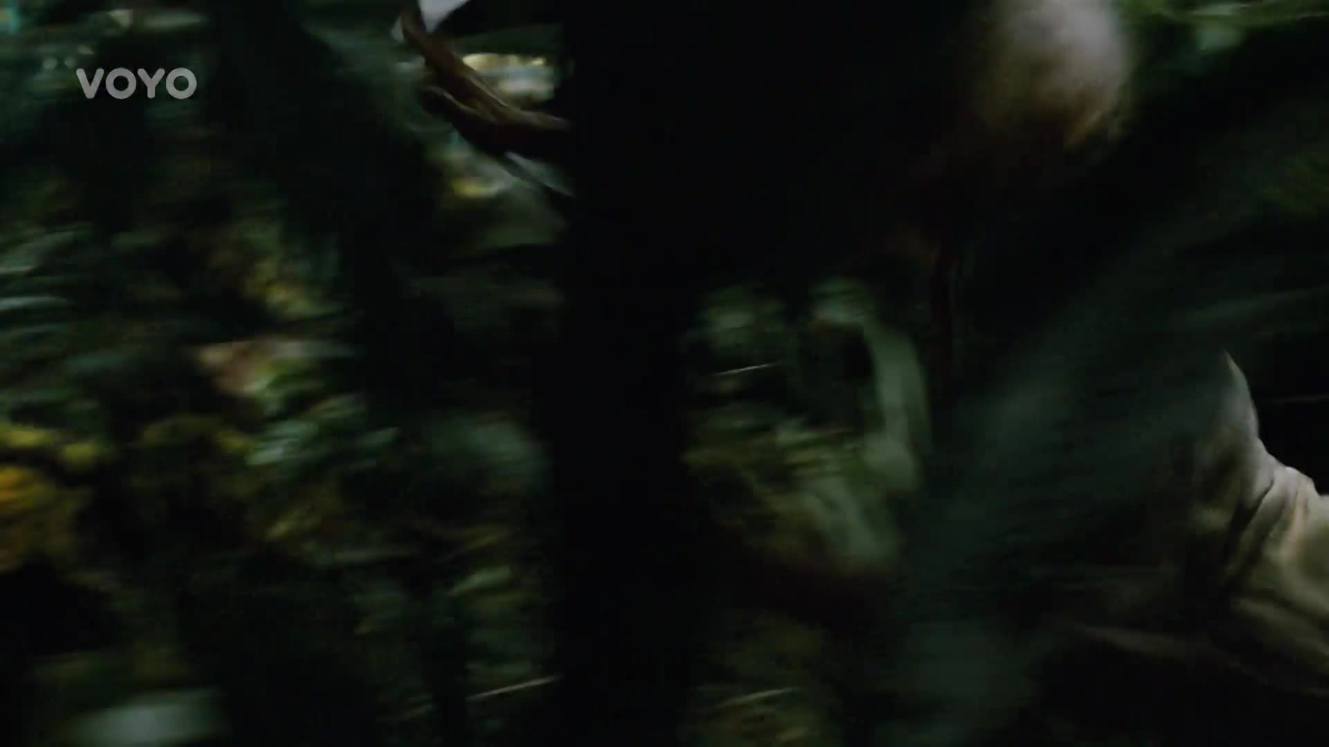 Souboj Godzilla vs. Kong už tu jednou byl! Které z monster tenkrát vyhrálo?