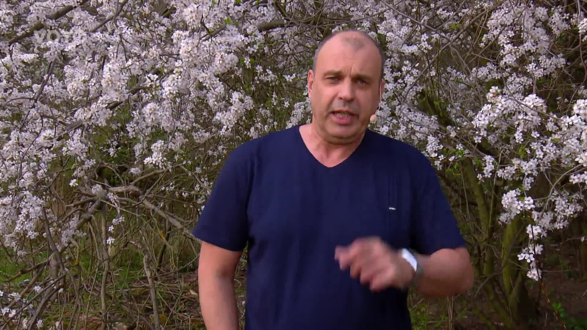 Soutěžte s pořadem Rady ptáka Loskutáka o supervýkonný modem!