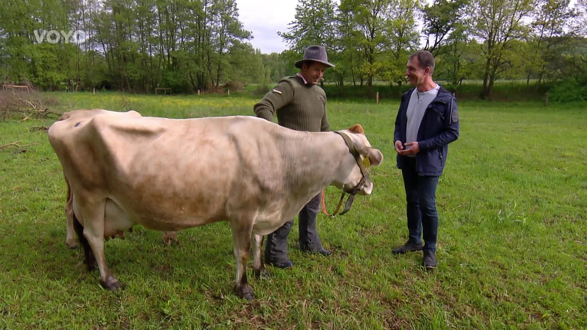 Tomáš Krejčíř nás provedl po své farmě. Venkovský způsob života mu učaroval!