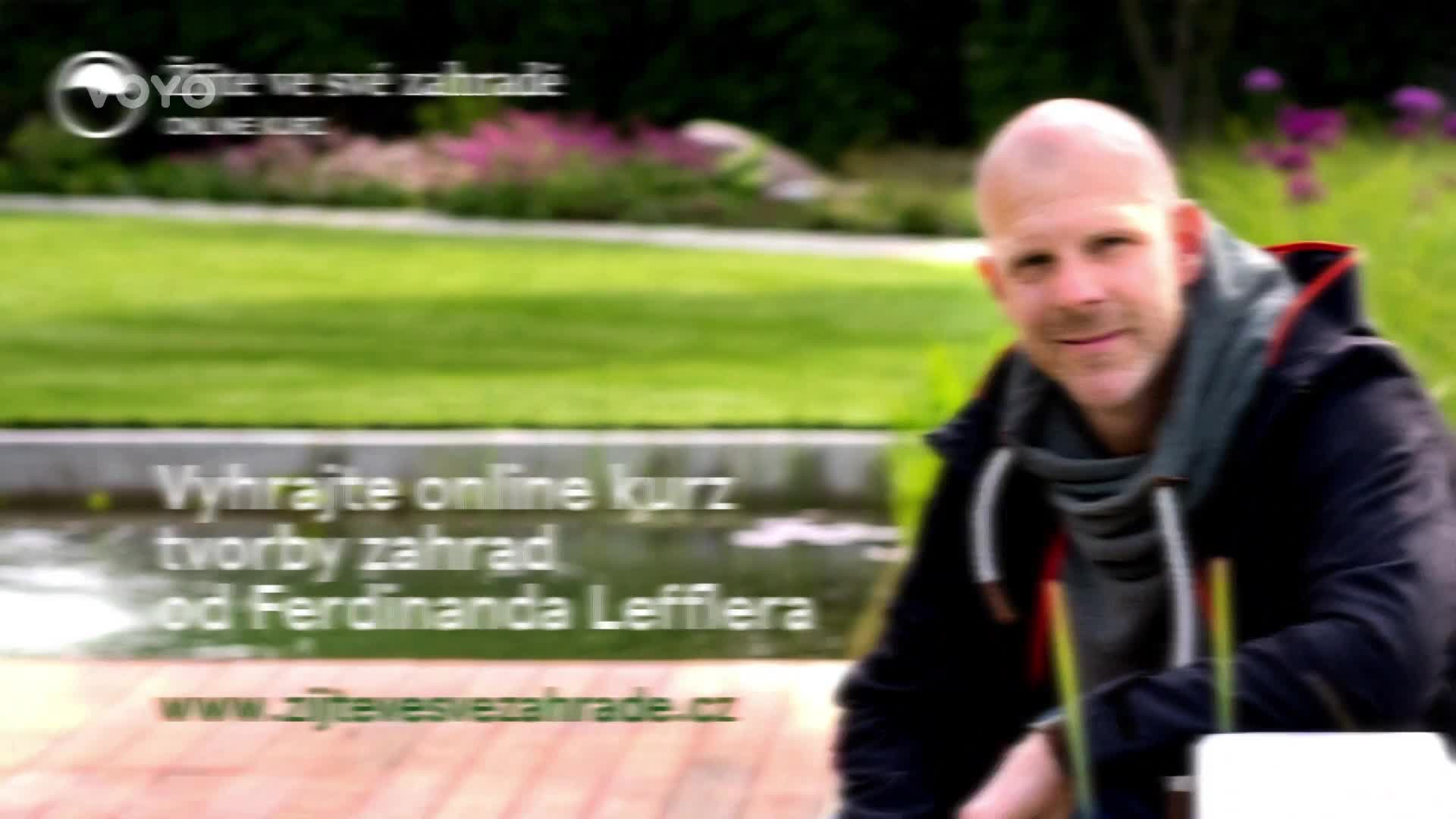 Soutěžte s pořadem Rady ptáka Loskutáka o online kurz zahradního Ateliéru Flera!