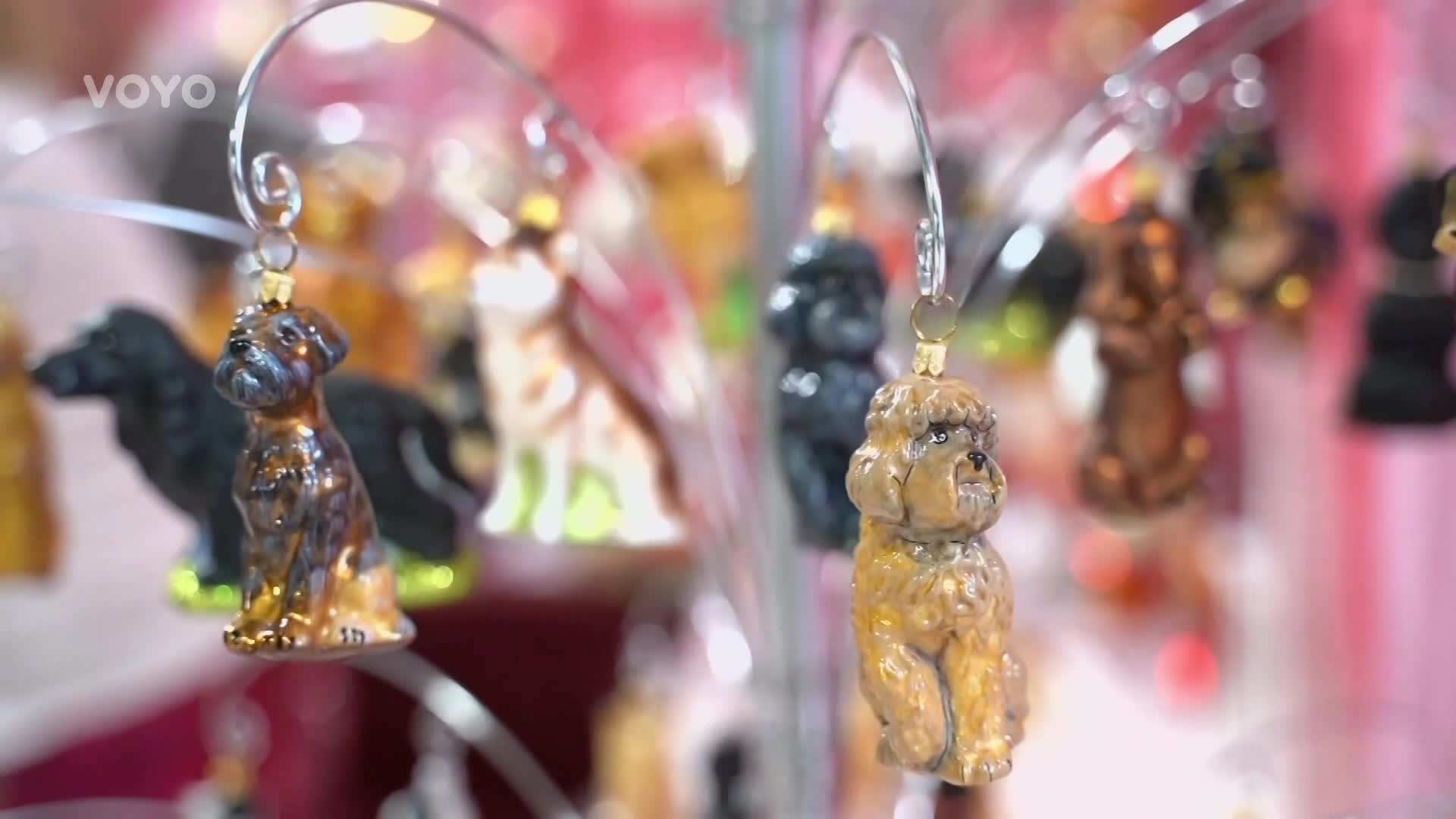 Dárky pro pejsky: Jak uděláte radost svému mazlíčkovi?