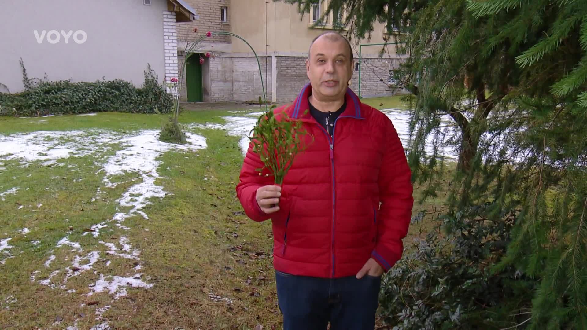 Soutěž o odvlhčovač a čističku vzduchu v jednom! Jak vyhrát?