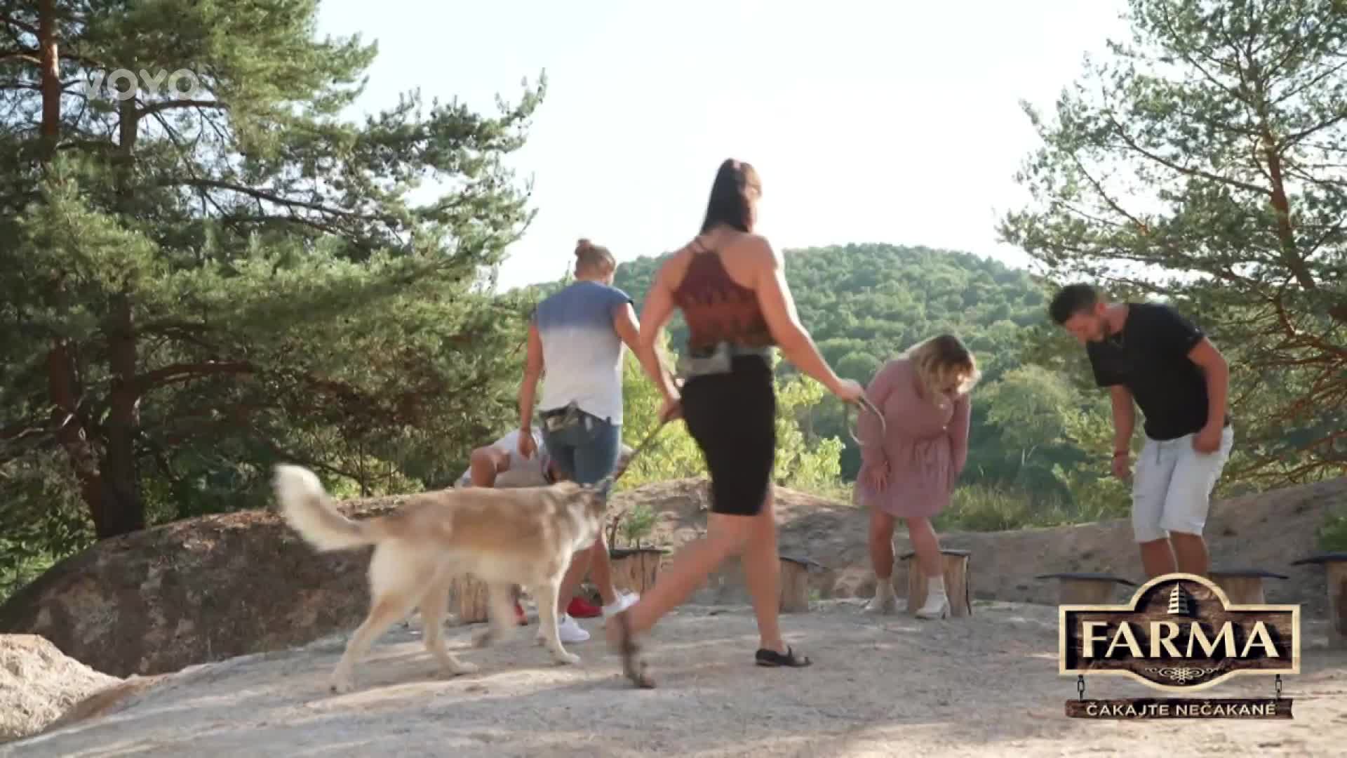 Každý den není posvícení: Proč Evelyn snědla mouchu?