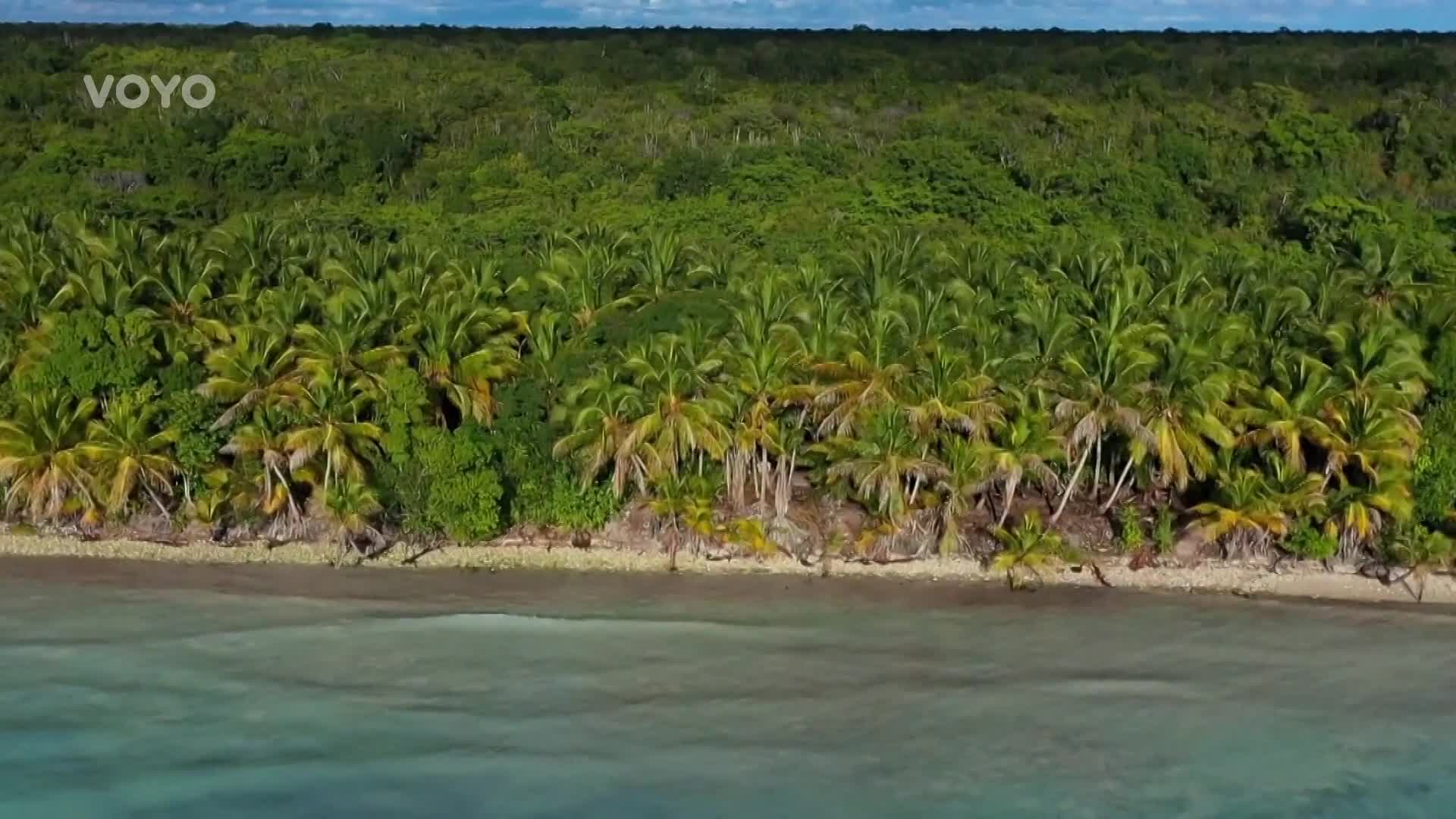 Z přehlídkového mola na pustý ostrov! Uspěje model Matěj i v Survivoru?