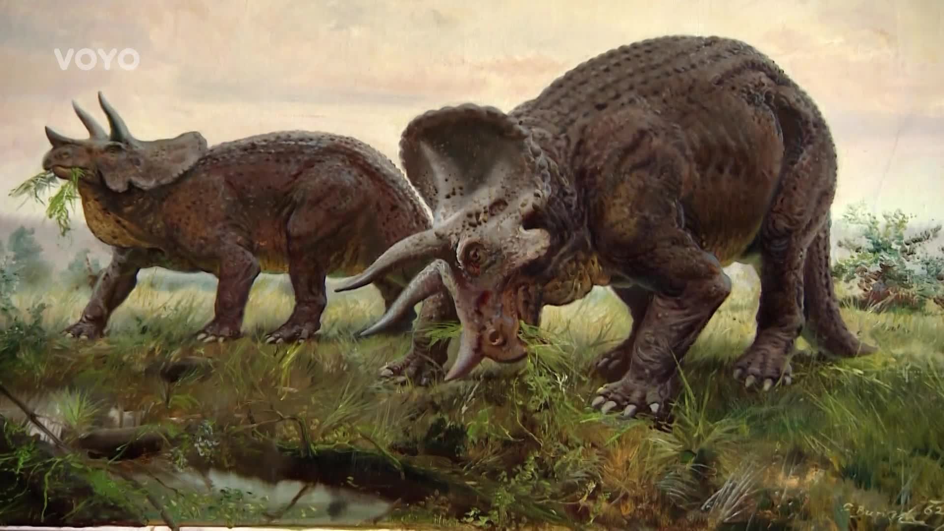 Zajímavá teorie mladého českého vědce: Jak se pářili dinosauři?