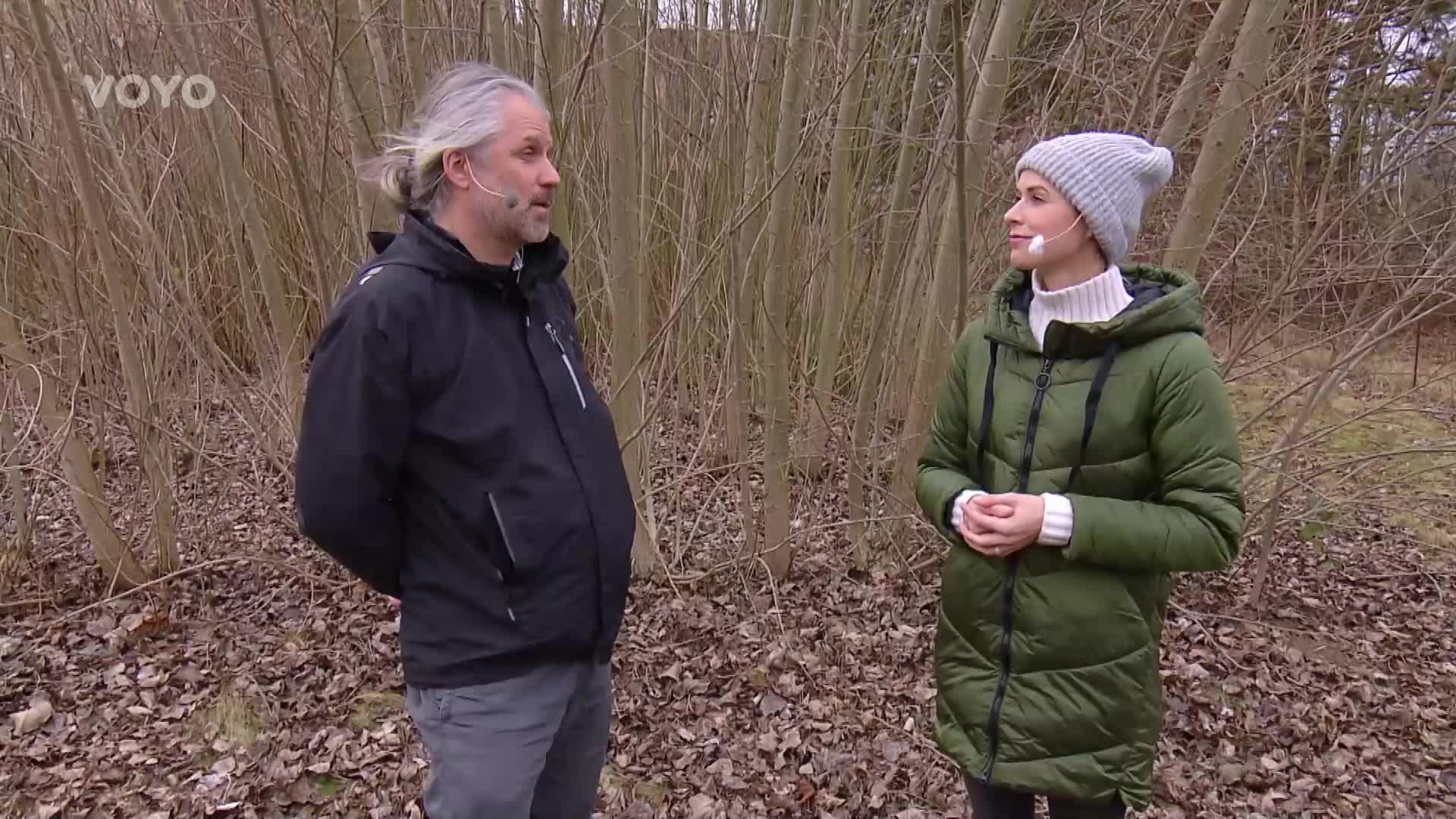 Pěstovat rychle rostoucí dřeviny není žádná věda! Podívejte se, jak na to