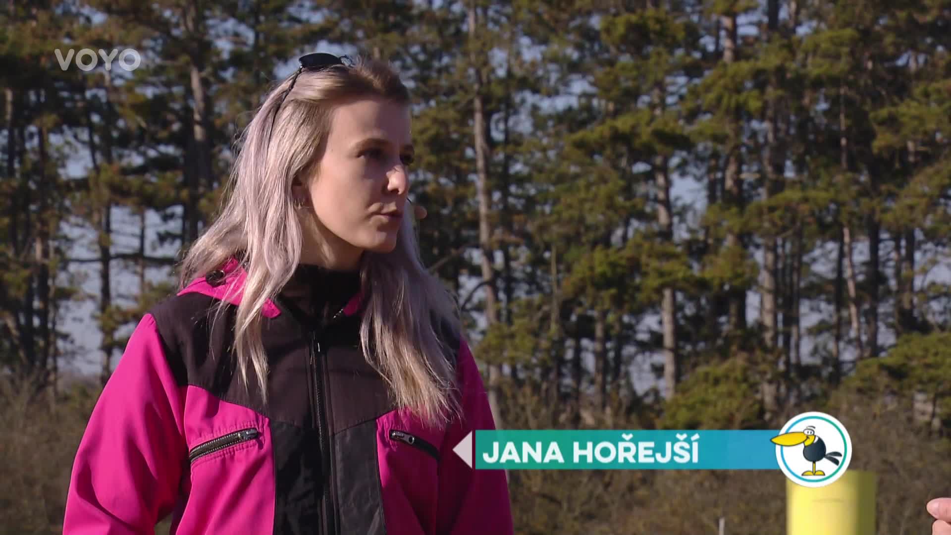 Jak naučit psa poslušnosti? Ukážeme si základy kynologického výcviku