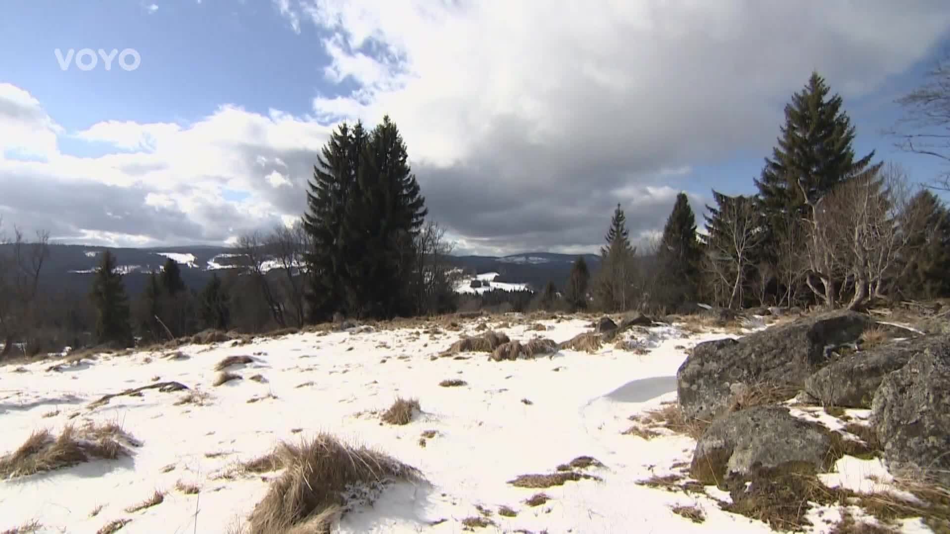 Nová minisérie na Voyo! Sklidí Ondříček po Zátopkovi úspěch i s Králem Šumavy?