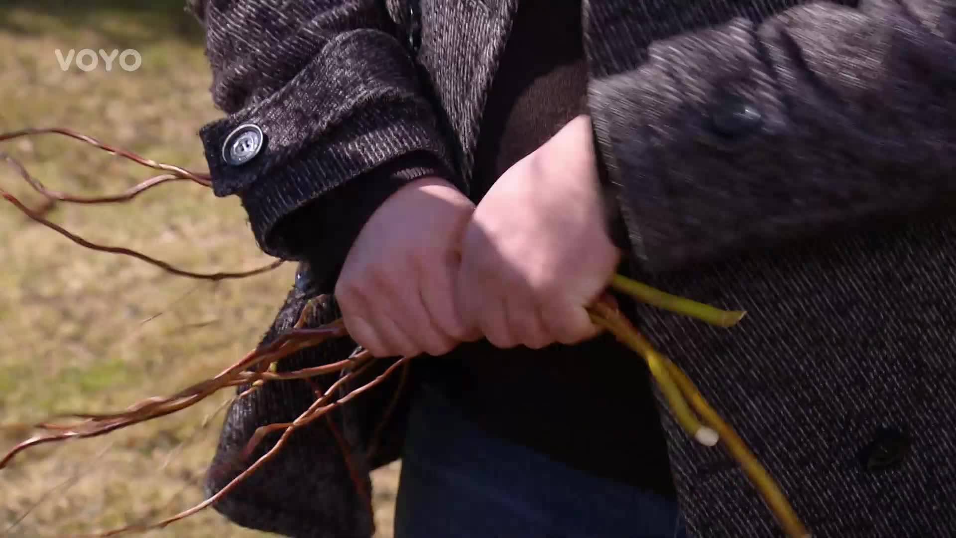 Vyrobte si jarní věneček s živými květy! Jak o něj pečovat, aby dlouho vydržel?