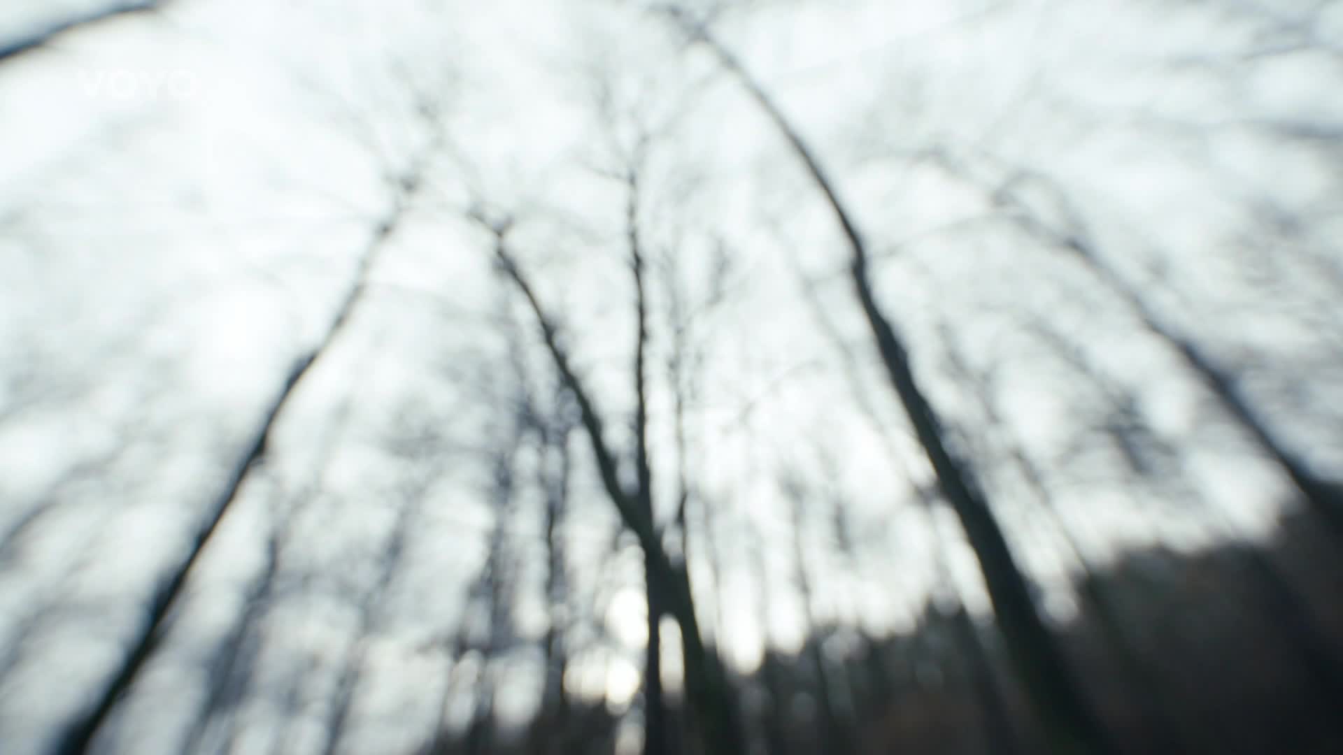 Hrůzostrašný nález v lese! Co vyčenichal pejsek na procházce?