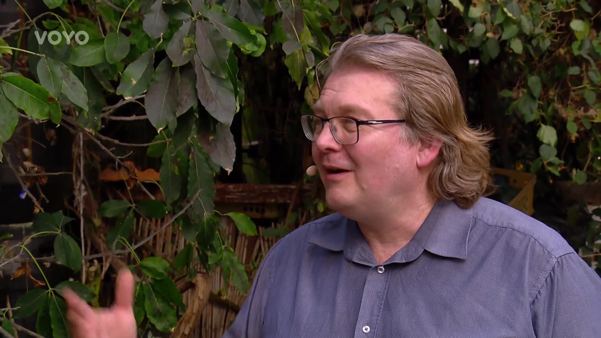 Málokdo ví, že monstera je ovocná rostlina! Jak chutnají její plody?