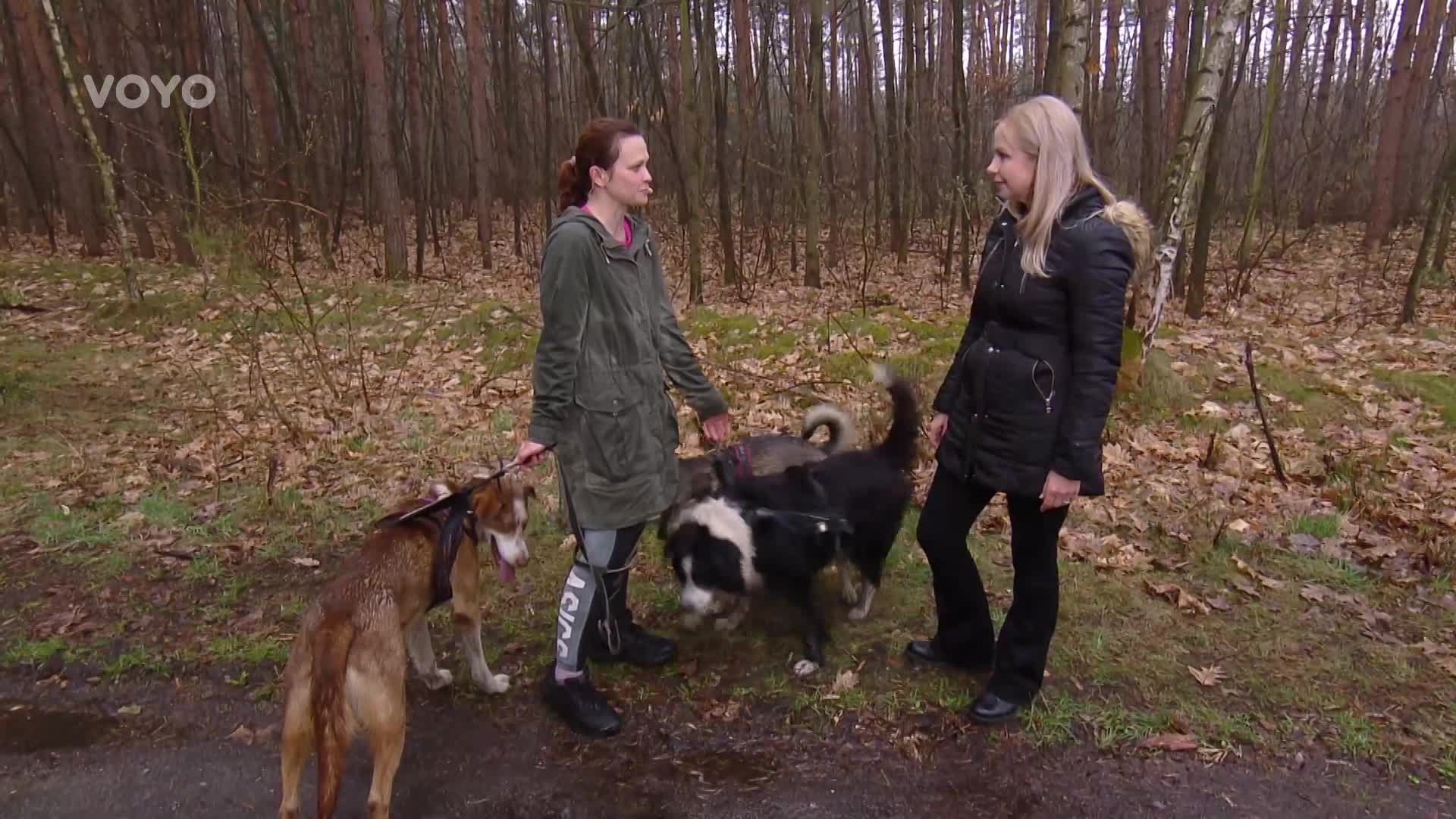 Vyrážíte rádi s pejskem do přírody? V tom případě by vás mohl bavit tento sport!