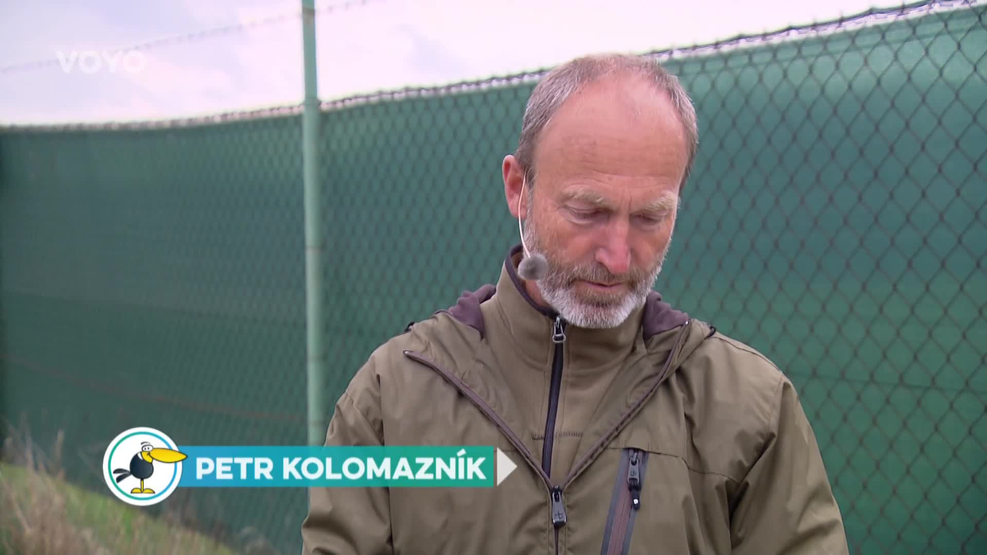 Vypouštění ježků do volné přírody: Jak se o ně správně postarat?