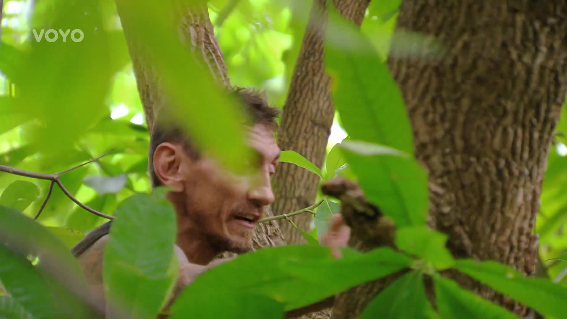 V Survivor Australia dostali chuť na med! Skončí to ošklivými bodanci?