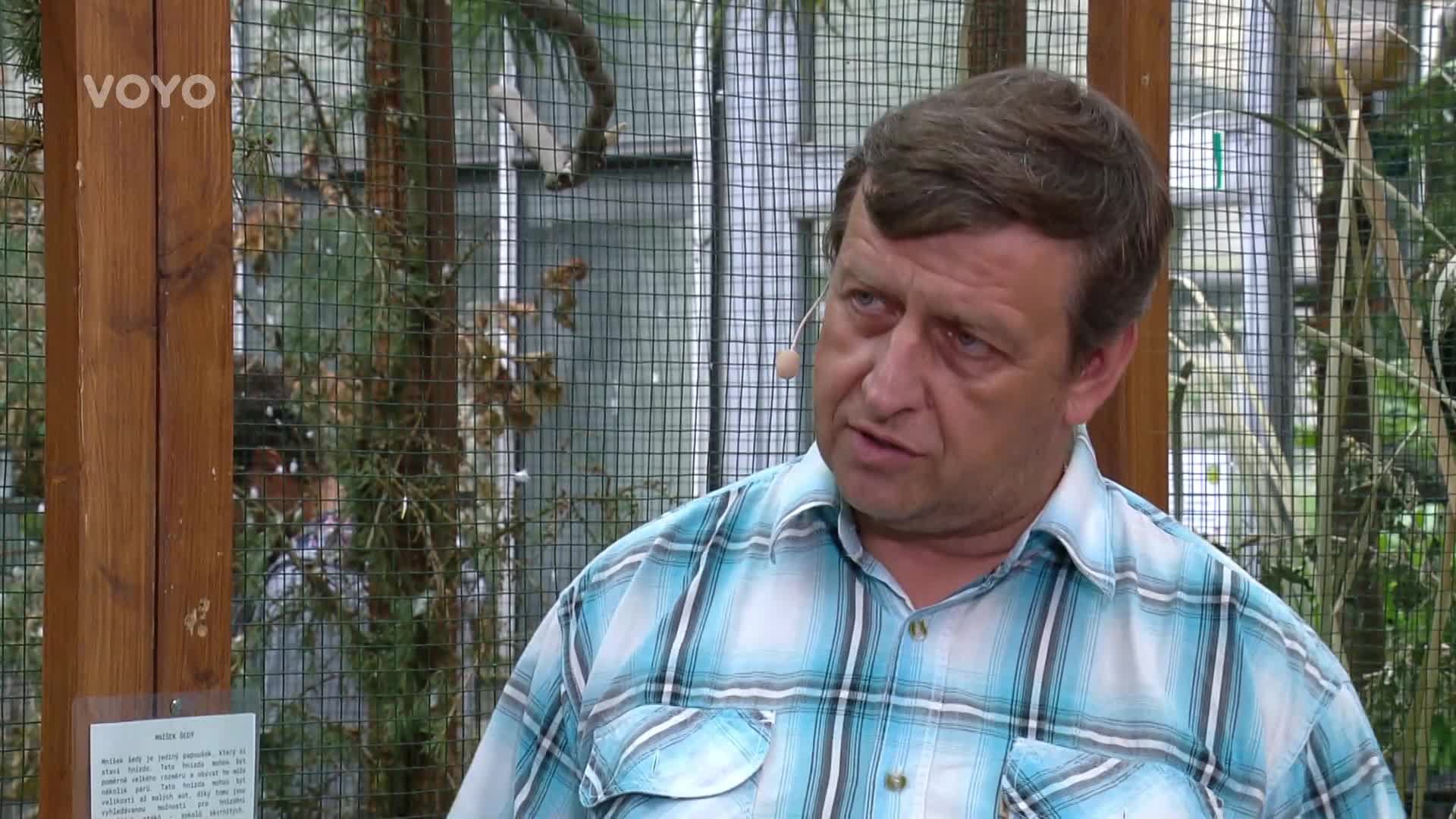 Papoušek pro začínající chovatele: Jak se správně starat o mníška šedého?