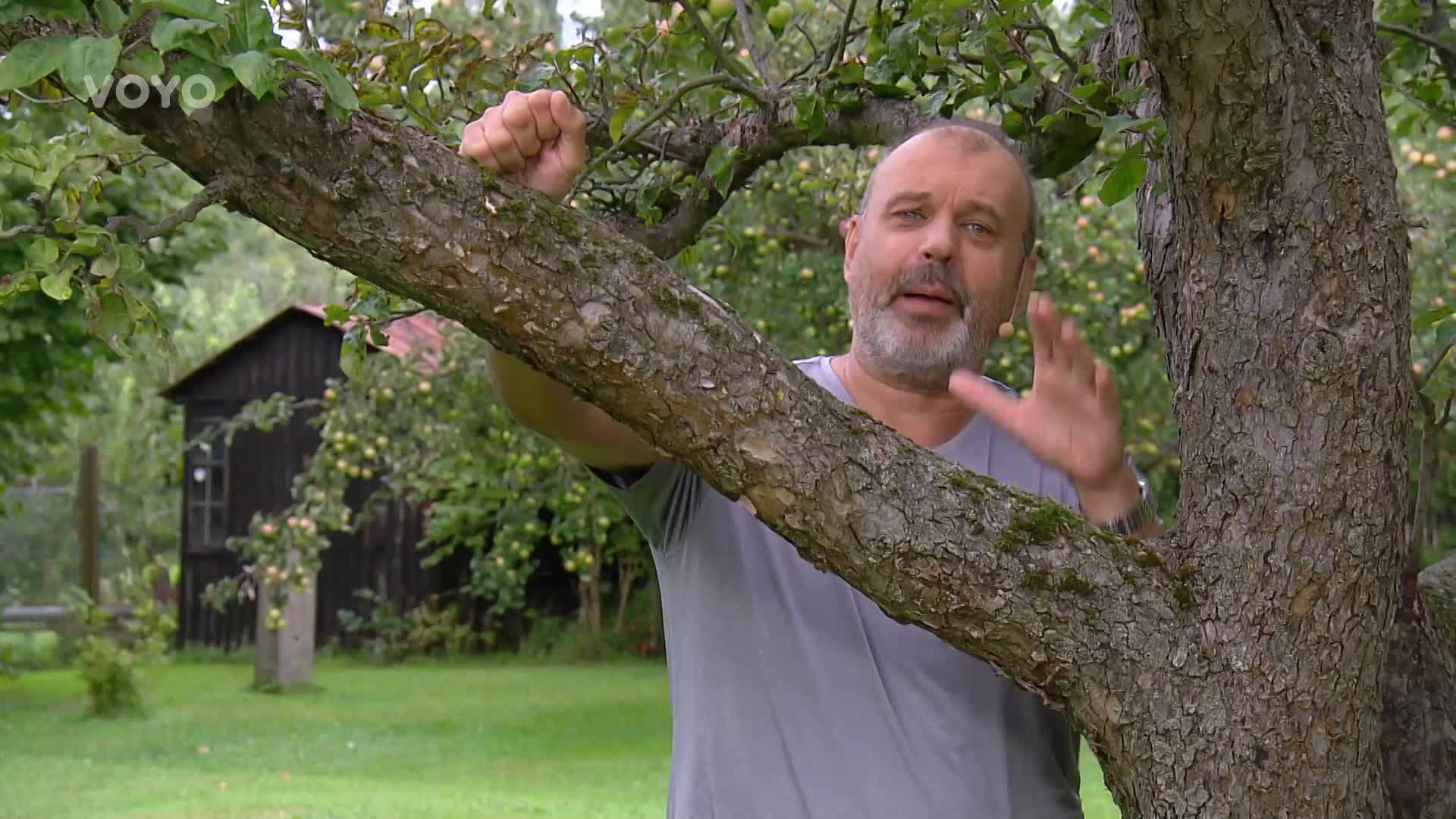 Soutěžte s pořadem Rady ptáka Loskutáka o tříměsíční bylinnou kúru!