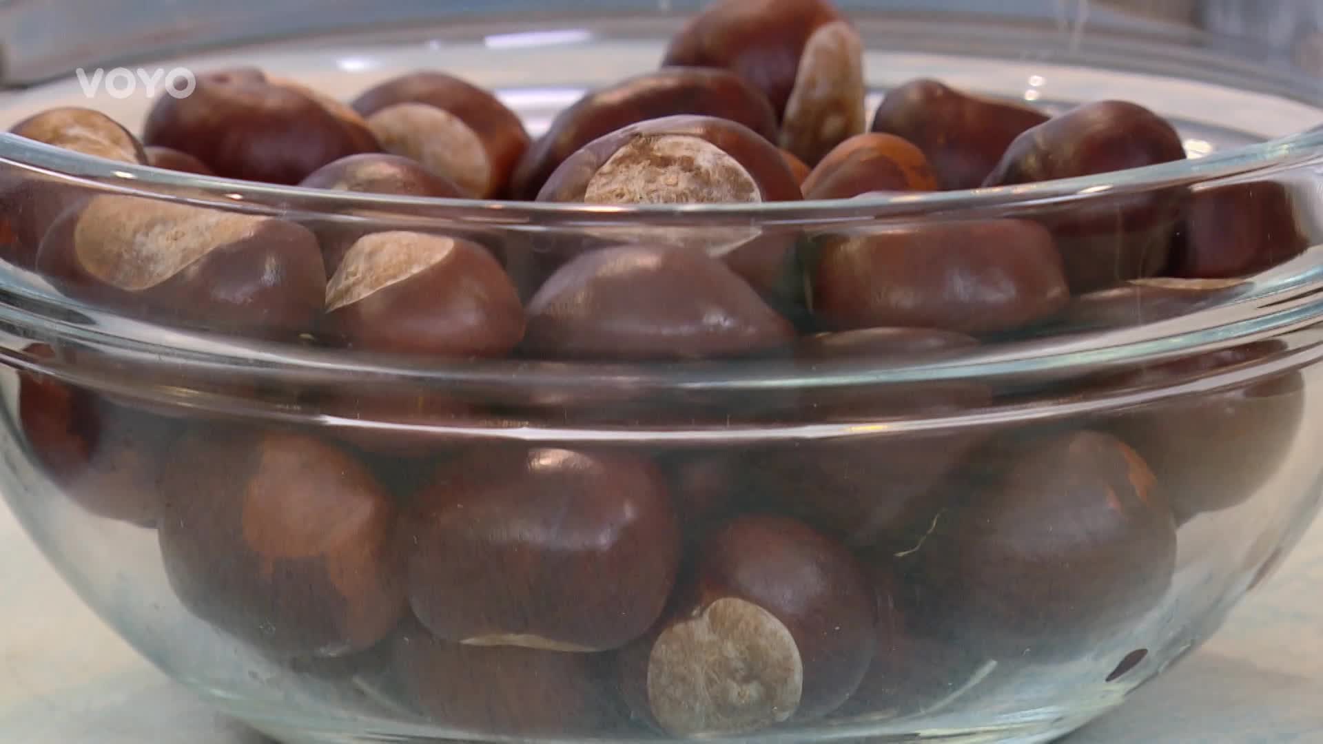 Jaké má kaštan léčivé účinky? Zmírňuje otoky, křečové žíly i bolest svalů a kloubů