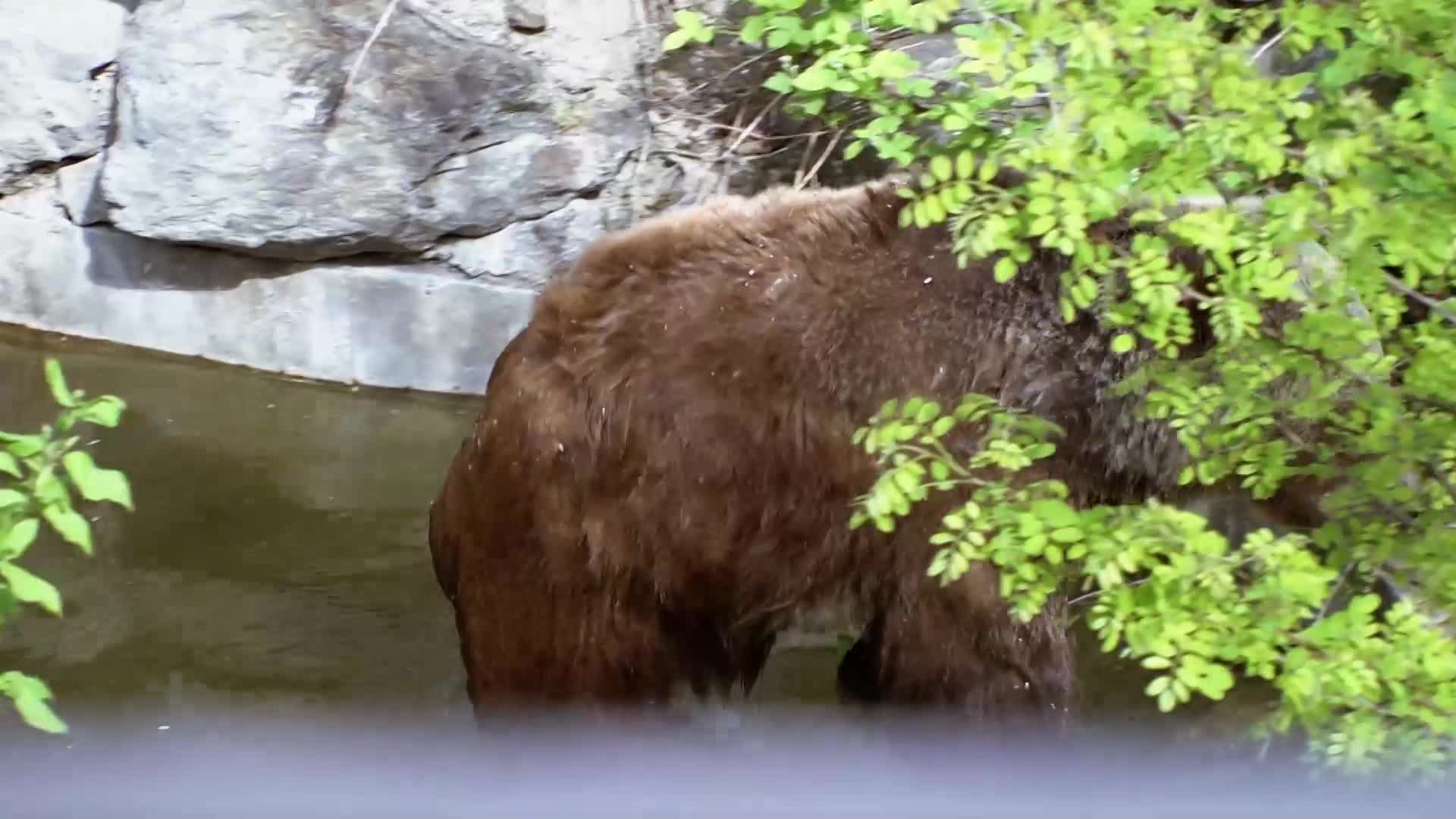 Petra se rozhodla ukončit Výměnu předčasně! Jak na to zareaguje její partner Tomáš?