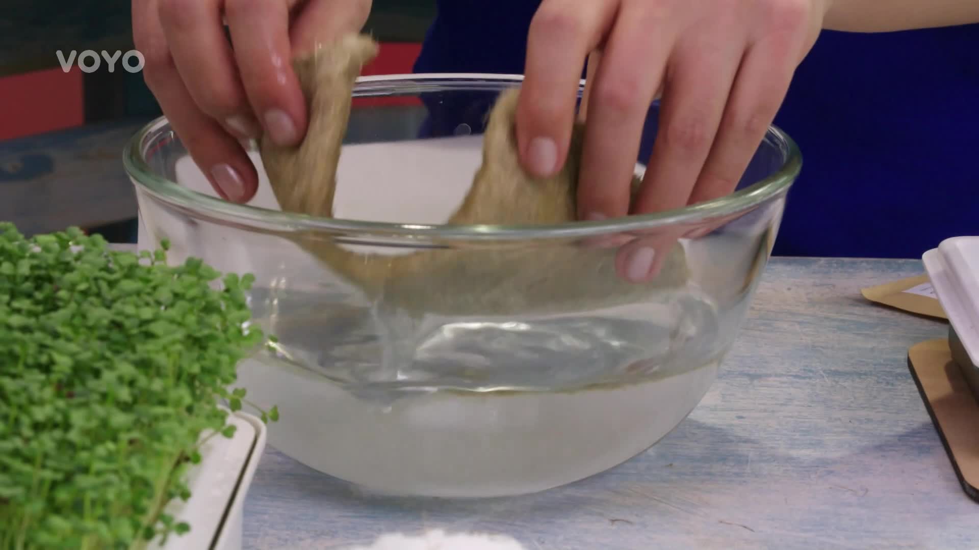 Microgreens můžete snadno pěstovat doma za oknem! Jaké obsahují živiny?