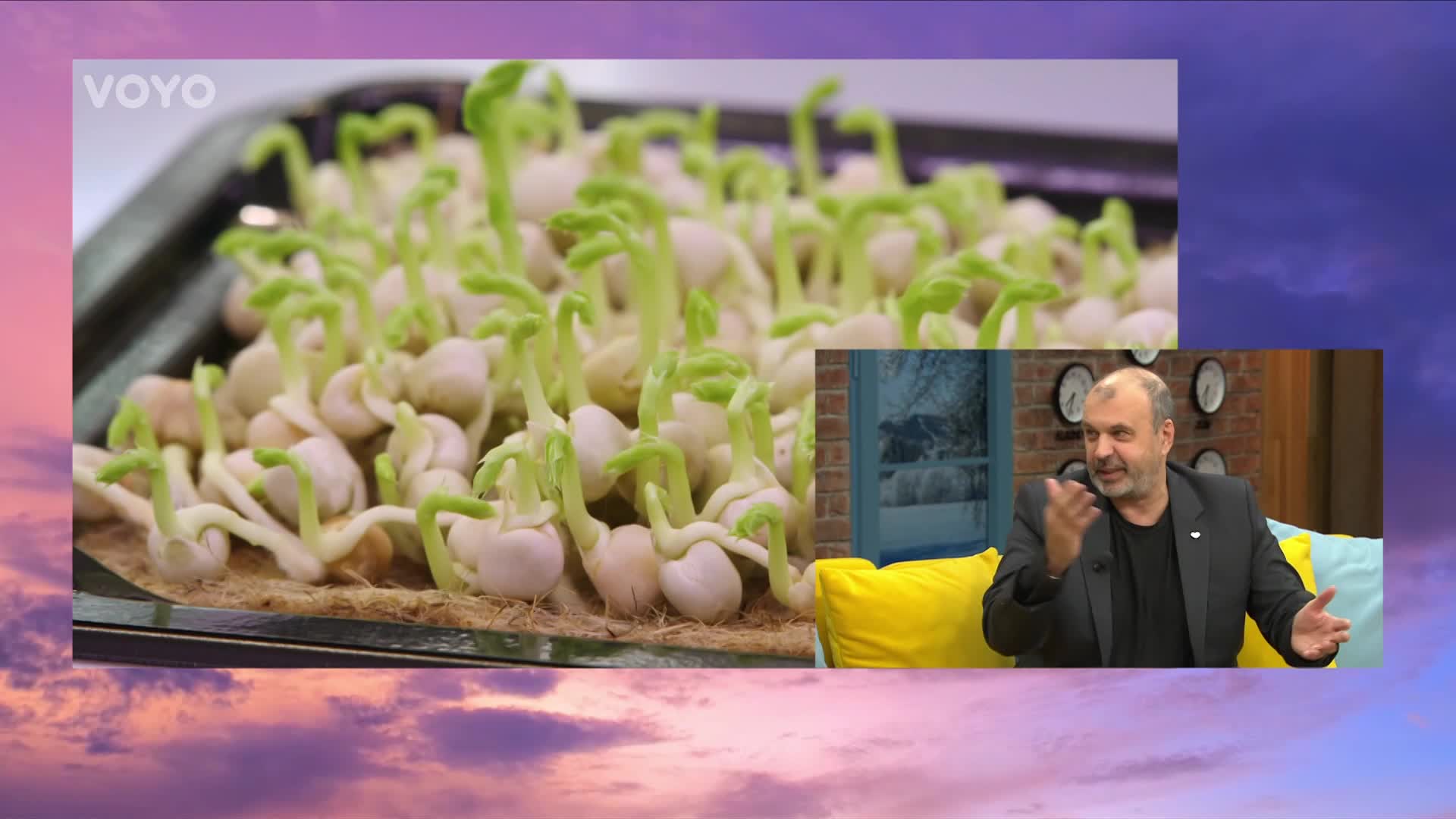 Petr Rychlý bude mít nového parťáka! Jaké zvířátko se k němu připojí v Radách ptáka Loskutáka?