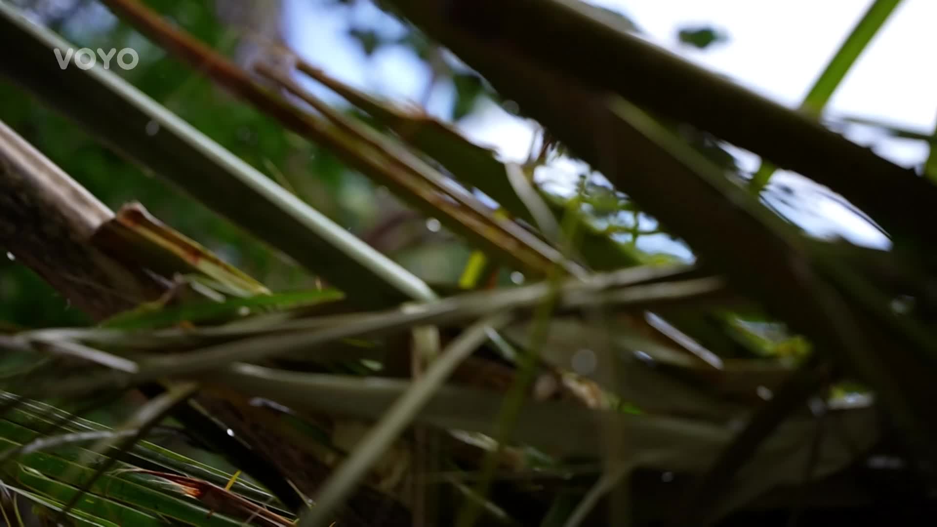 Počasí v Survivor dává soutěžícím zabrat! Jak se na nich podepisuje?