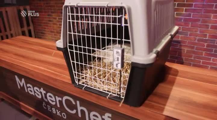 VIDEO ZE ZÁKULISÍ: Živé kuře, husa a krůta se stali hlavními aktéry v MasterChef!