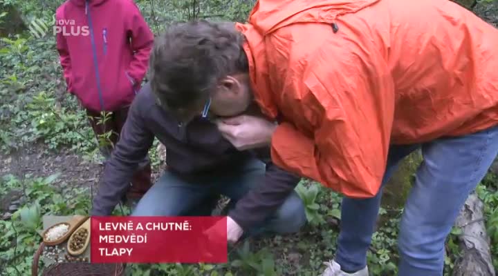 Levně a chutně: Medvědí tlapy